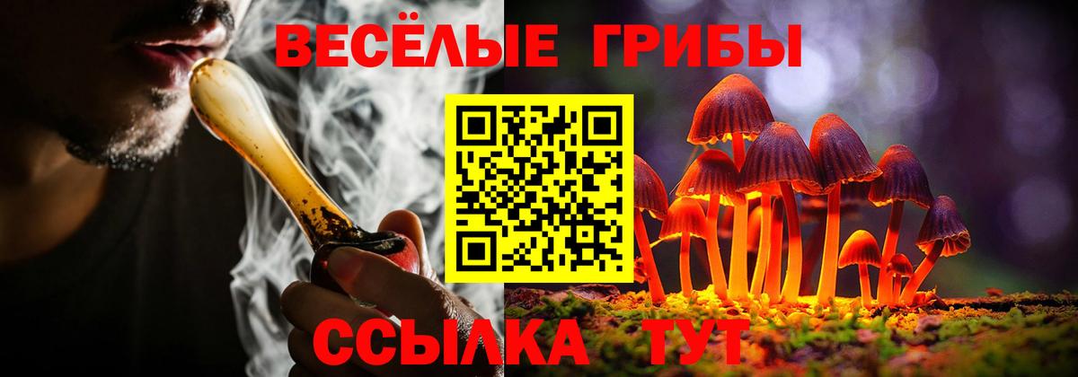 Псилоцибиновые грибы Magic Shrooms Нижний Тагил