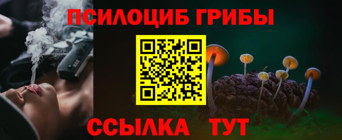 Нижний Тагил  Псилоцибиновые грибы прущие грибы  Галлюциногенные грибы мицелий  Вход с VPN 